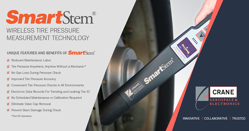 SmartStem